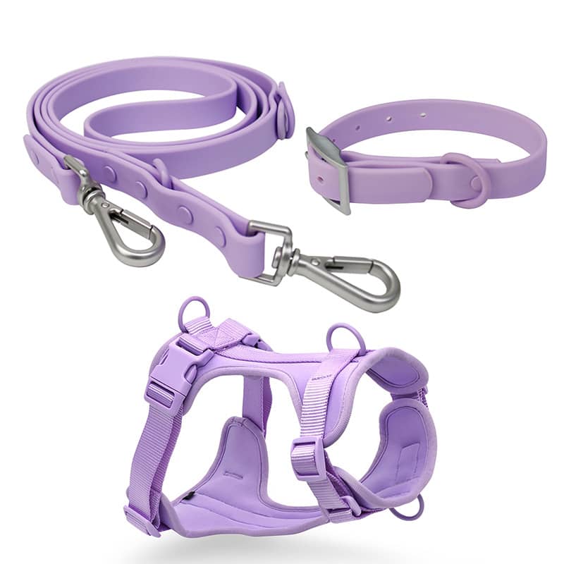 Dog Leash